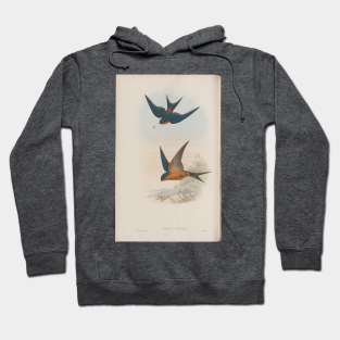 Swallows Hoodie